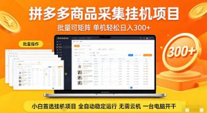 拼多多商品信息全自动采集项目,批量可矩阵,单机轻松日入300+,无需云机一台电脑开干【揭秘】-世康聊项目