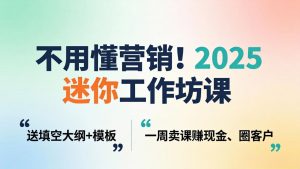 不用懂营销!2025 迷你工作坊课:送填空大纲 + 模板,一周卖课赚现金、圈客户-世康聊项目