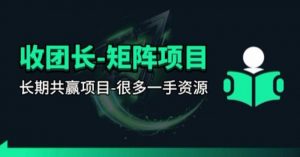 【团长合作】视频矩阵项目_招发手矩阵+剪辑师,共赢项目【揭秘】-世康聊项目