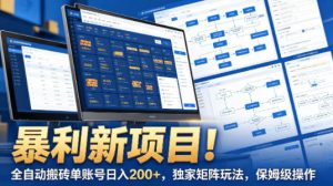 暴利新项目!全自动搬砖单账号日入200+,独家矩阵玩法,保姆级操作【揭秘】-世康聊项目