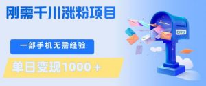 刚需千川涨粉项目，一部手机无需技术，单日变现1k+，当天做当天见收益【揭秘】-世康聊项目