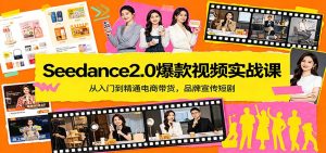 Seedance2.0爆款视频实战课：从入门到精通电商带货，品牌宣传短剧-世康聊项目