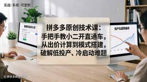 拼多多原创技术课：手把手教小二开直通车，从出价计算到模式搭建，破解低投产、冷启动难题-世康聊项目