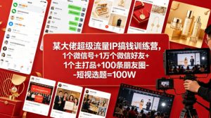 某大佬超级流量IP搞钱训练营，1个微信号+1万个微信好友+1个主打品+100条朋友圈-短视选题=100W-世康聊项目