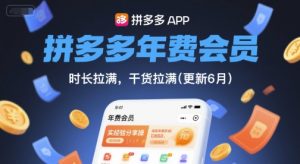 拼多多年费会员，实经验分享操，时长拉满，干货拉满(更新26年4月24日)-世康聊项目