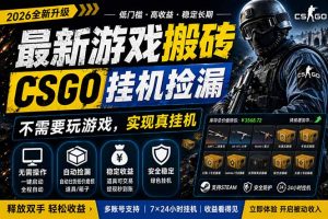 最新游戏搬砖，CSGO纯挂机，不需要玩游戏，实现真挂机，月入1W+，五一小高峰上车可吃肉，…-世康聊项目