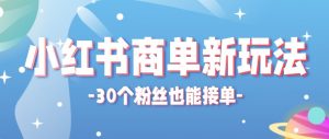 合新手小白操作的小红书商单新玩法，低粉丝也能接单，一个月接三单赚了150+！-世康聊项目