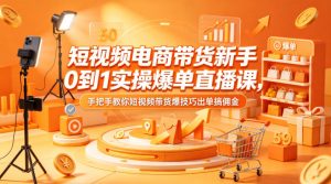 短视频电商带货新手0到1实操爆单直播课，手把手教你短视频带货爆技巧出单搞佣金-世康聊项目