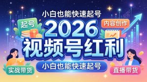2026视频号红利实战营，大佬亲授起号、内容、直播、IP、投流、私域、矩阵全套落地打法-世康聊项目